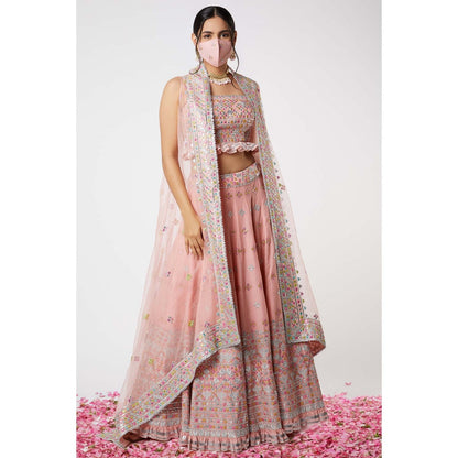 Gopi Vaid Noor Lehenga Cape (Set of 3)