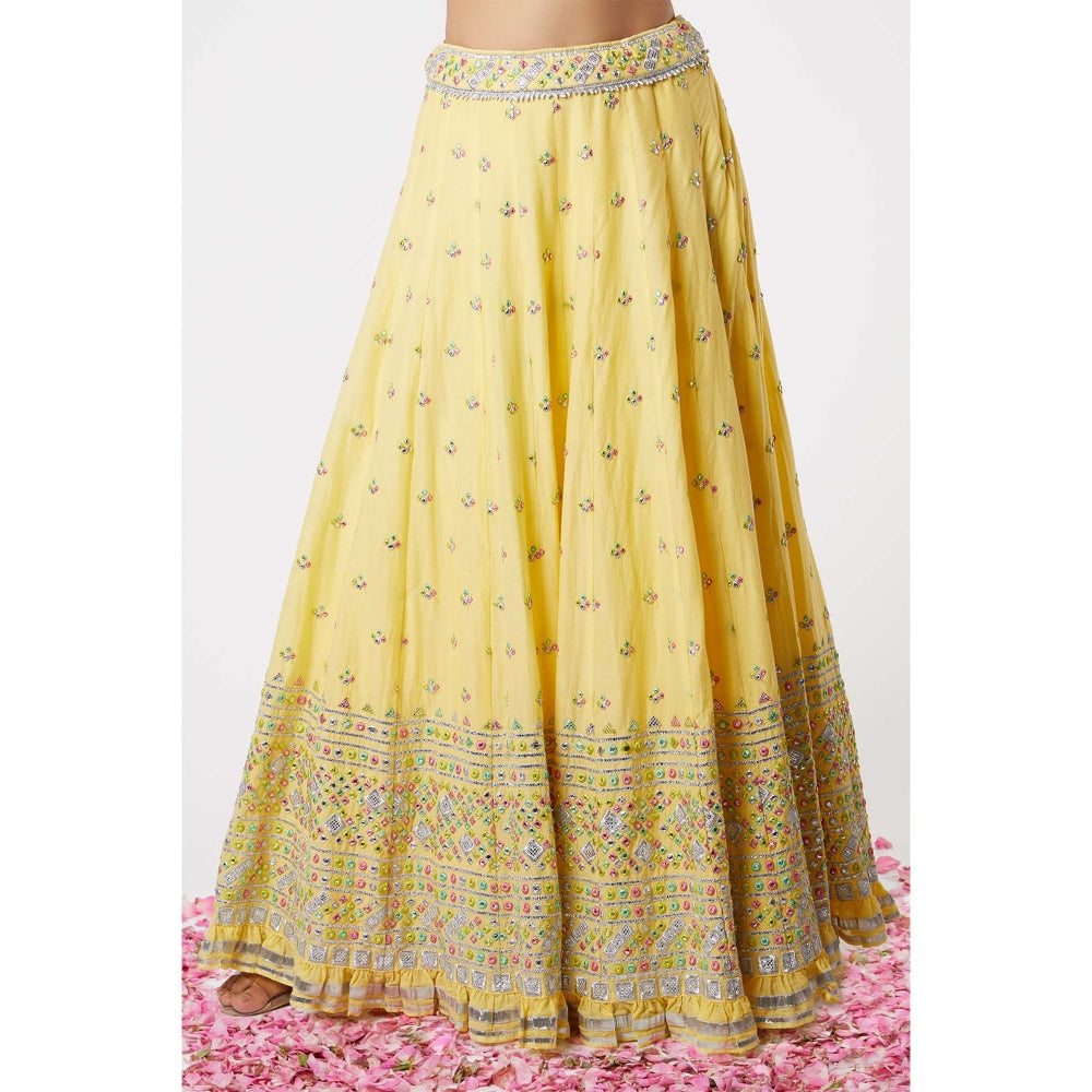 Gopi Vaid Noor Strappy Lehenga (Set of 3)