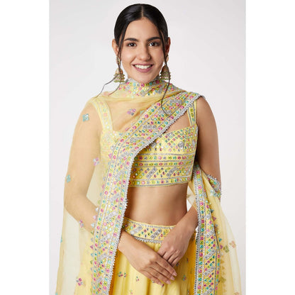 Gopi Vaid Noor Strappy Lehenga (Set of 3)