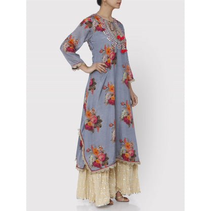 Gopi Vaid Blue Ahilya Kaftan Kurta
