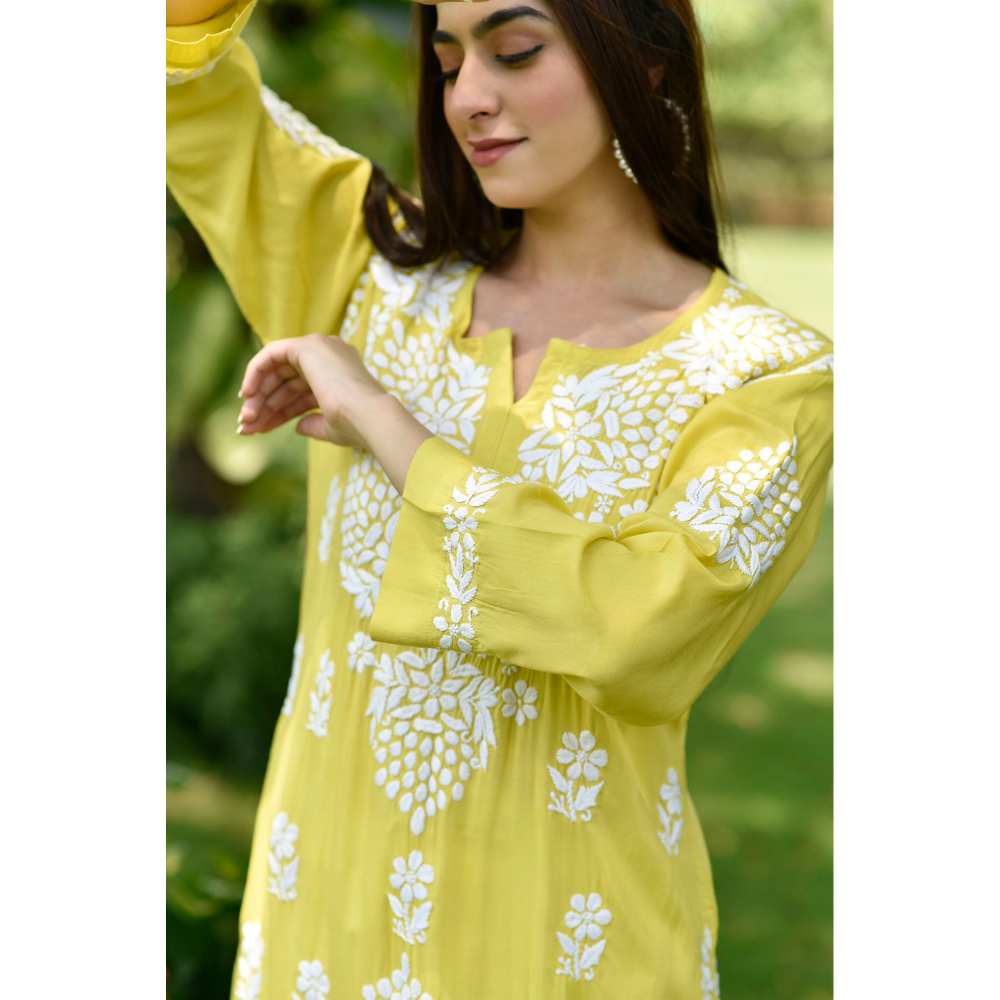 House of Chikankari Anisa Chikankari Modal Straight Kurta