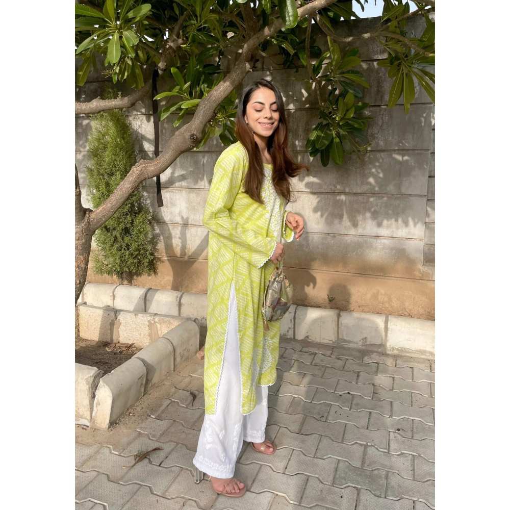 House of Chikankari Elham Chikankari Mulmul Straight Kurta