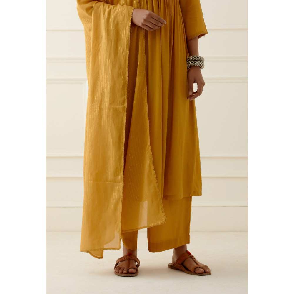 Ikshita Choudhary Yellow Mustard Pants
