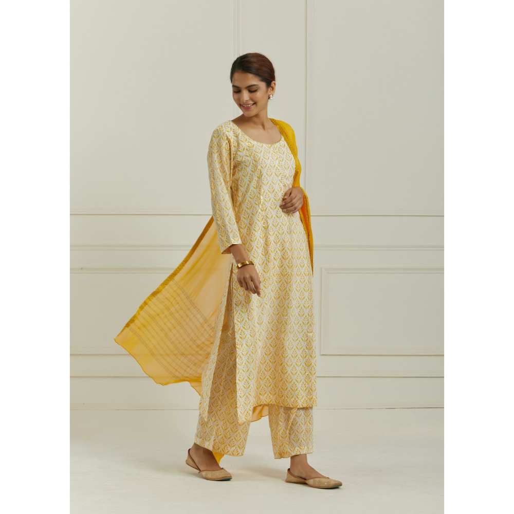 Ikshita Choudhary Yellow Kurta (Set of 3)