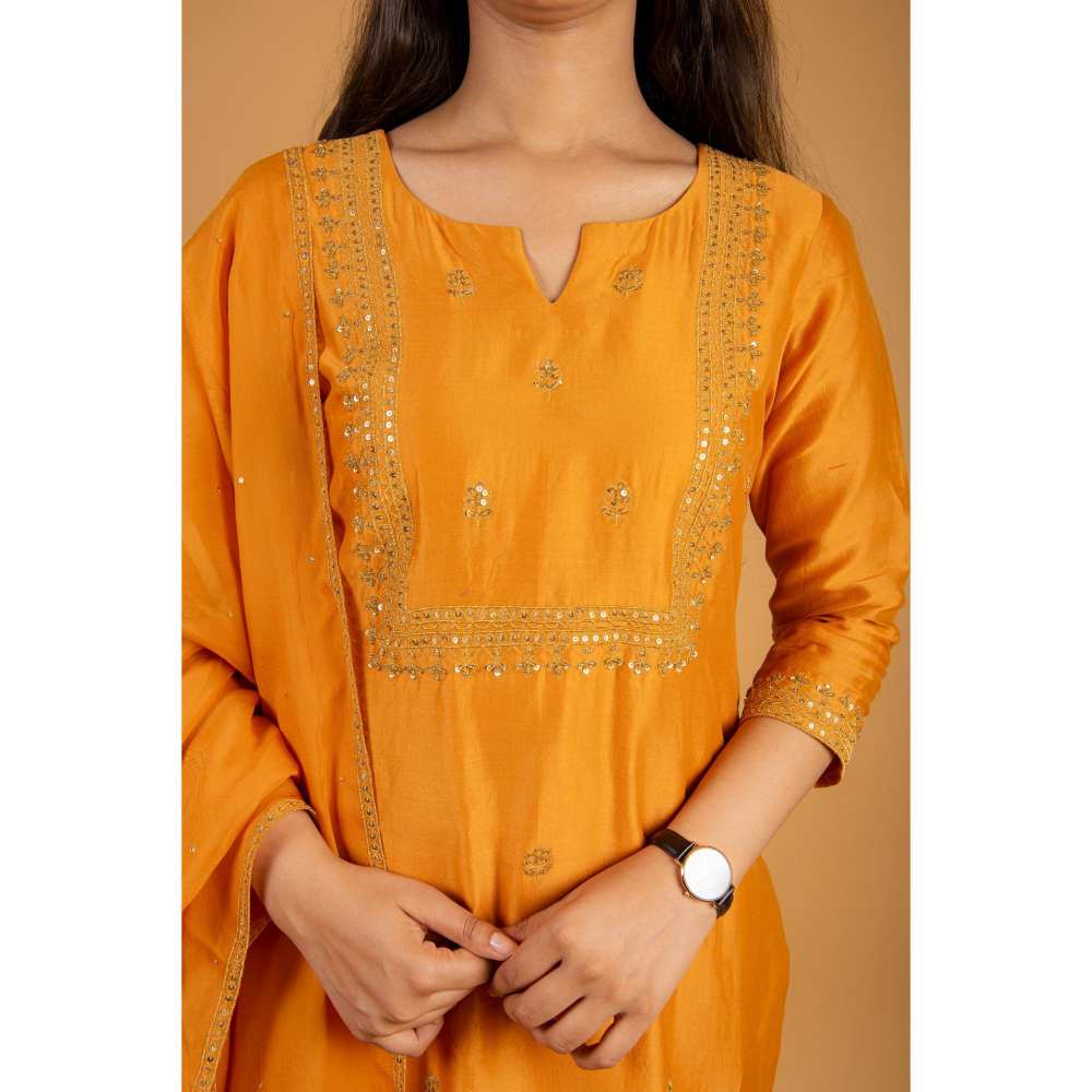 Ikshita Choudhary Orange Kurta (Set of 3)