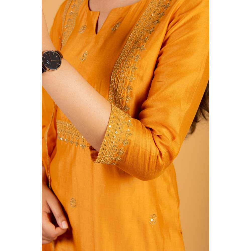 Ikshita Choudhary Orange Kurta (Set of 3)