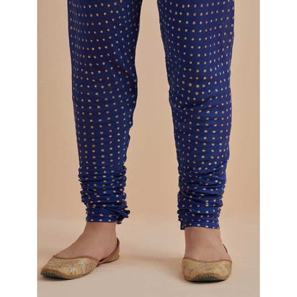Ikshita Choudhary Blue Printed Chanderi Kurta With Churidar (Set of 2)