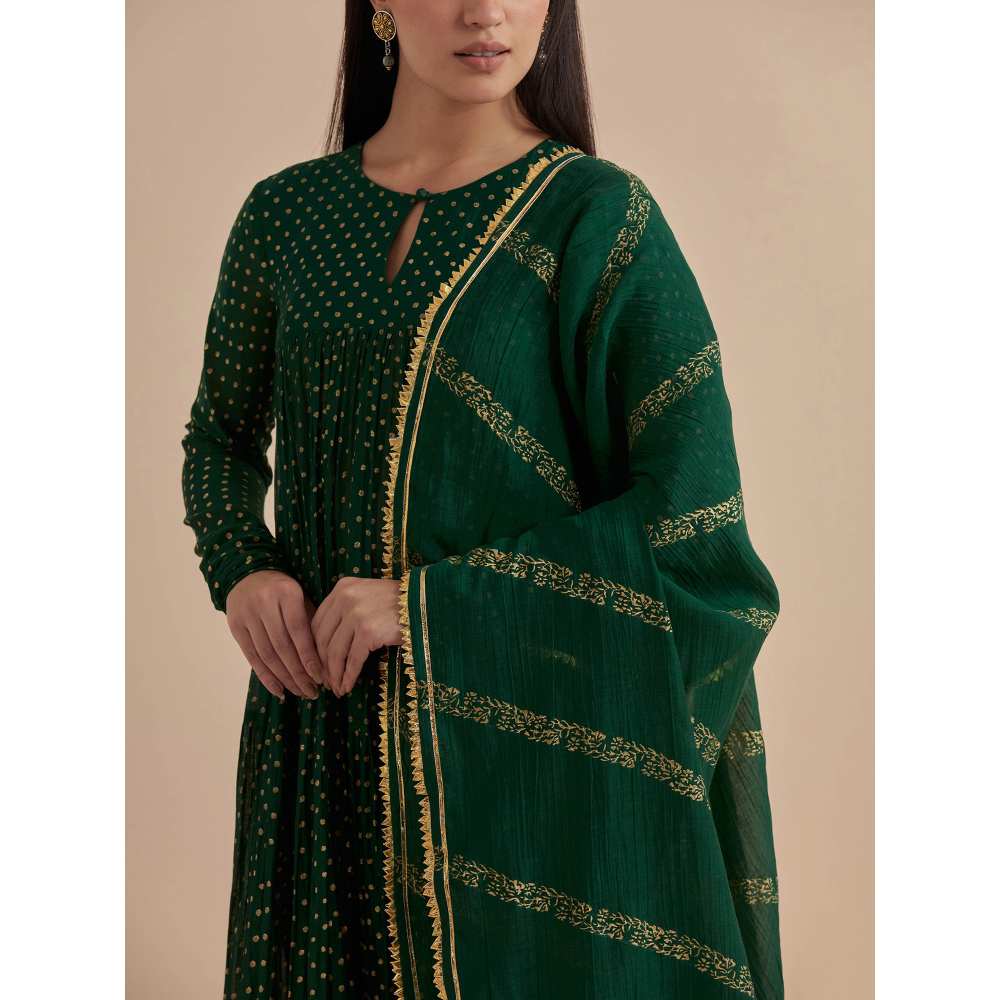 Ikshita Choudhary Green Printed Chanderi Anarkali With Churidar And Dupatta (Set of 3)