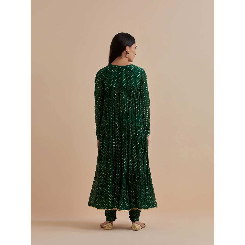 Ikshita Choudhary Green Printed Chanderi Anarkali With Churidar And Dupatta (Set of 3)
