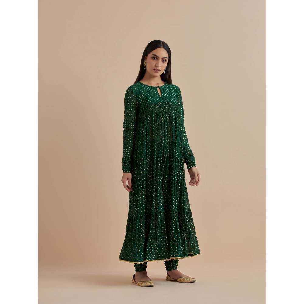 Ikshita Choudhary Green Printed Chanderi Anarkali With Churidar (Set of 2)