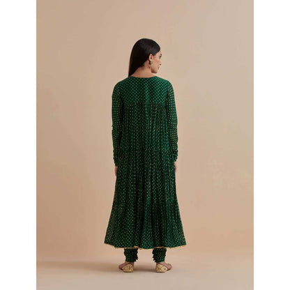 Ikshita Choudhary Green Printed Chanderi Anarkali With Churidar (Set of 2)