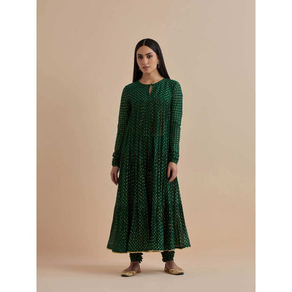 Ikshita Choudhary Green Printed Chanderi Anarkali With Churidar (Set of 2)