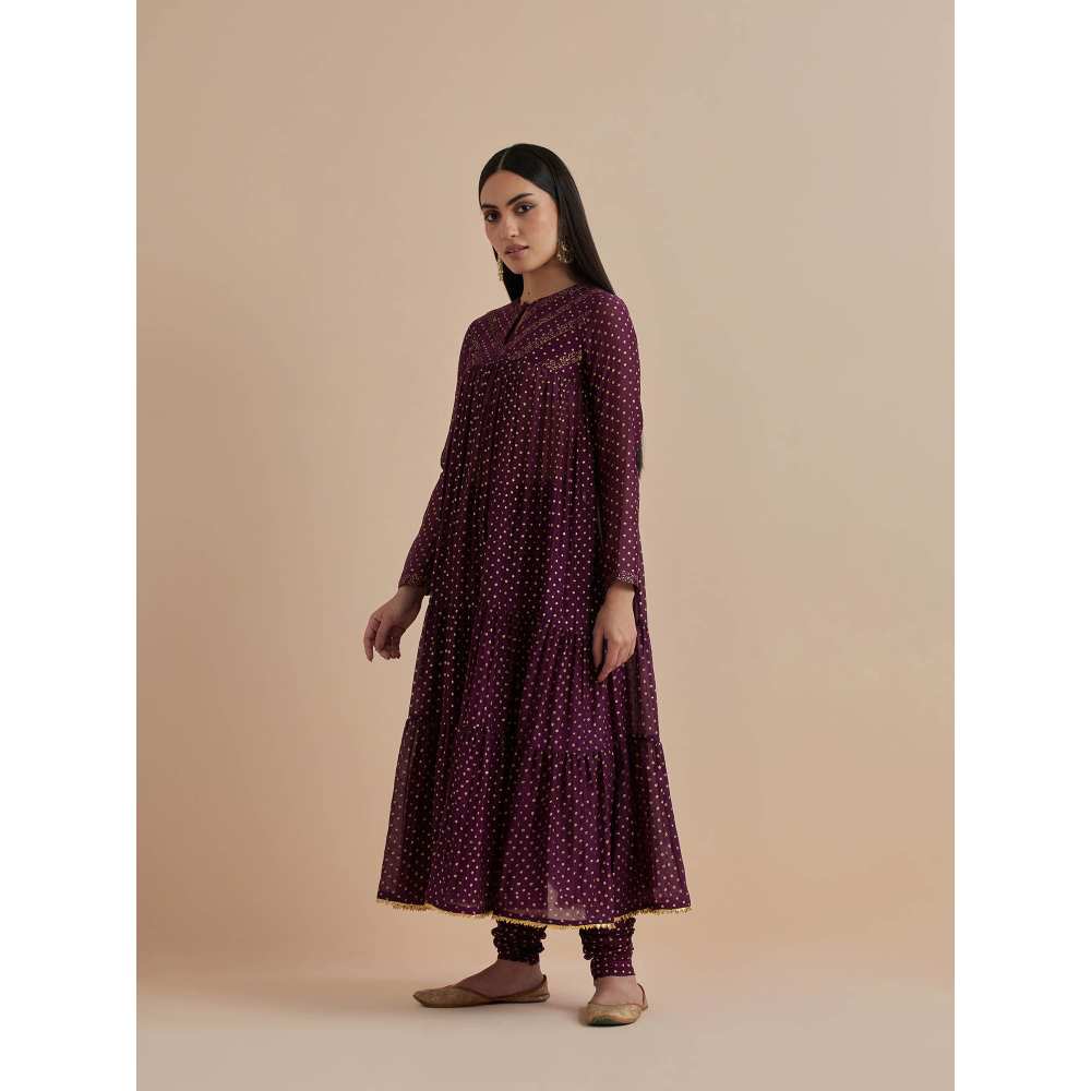 Ikshita Choudhary Purple Printed Chanderi Anarkali With Churidar And Dupatta (Set of 3)