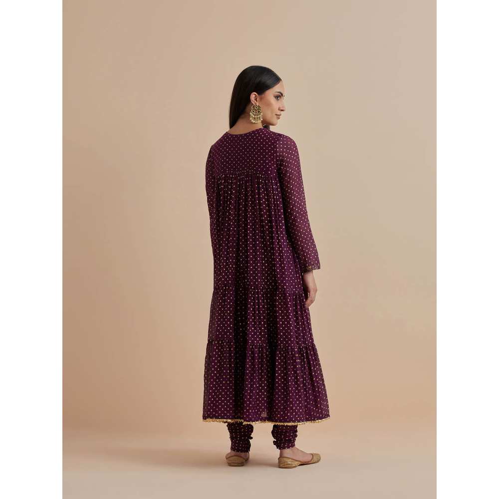 Ikshita Choudhary Purple Printed Chanderi Anarkali With Churidar And Dupatta (Set of 3)