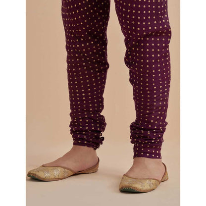 Ikshita Choudhary Purple Printed Chanderi Anarkali With Churidar And Dupatta (Set of 3)
