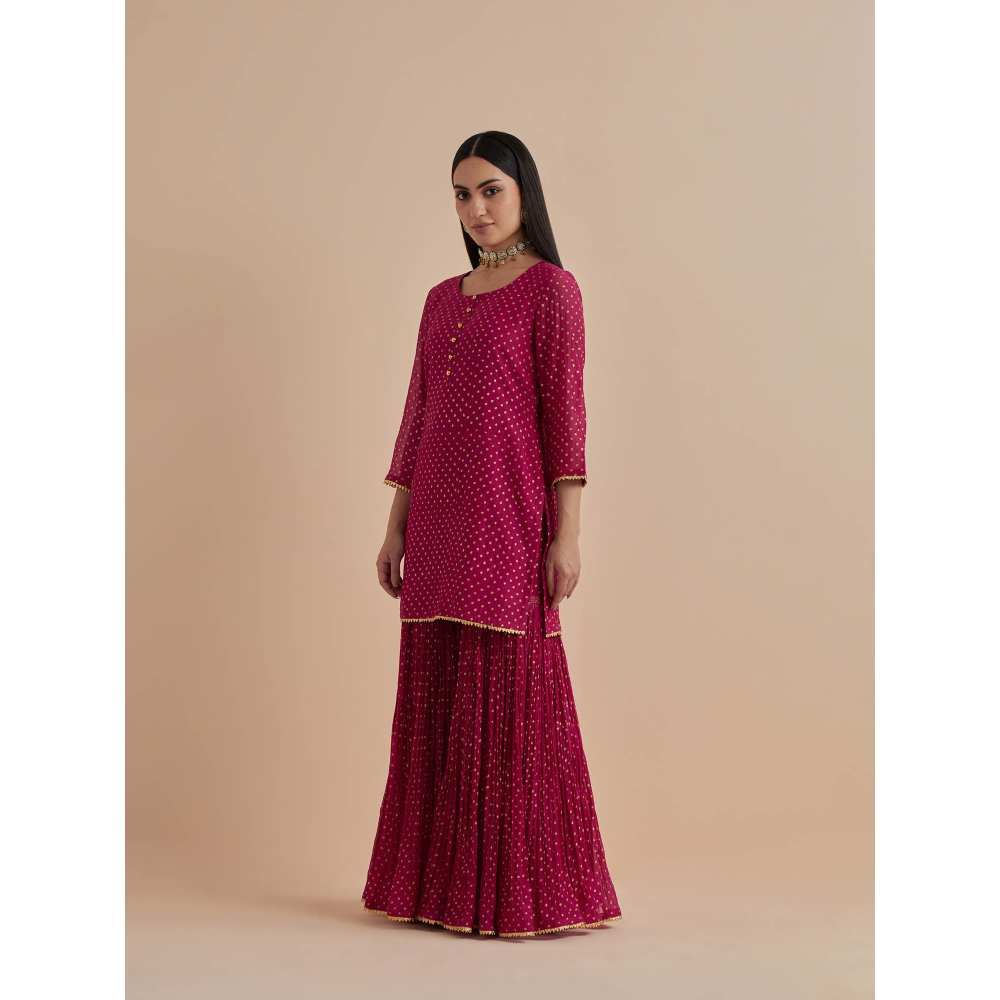 Ikshita Choudhary Magenta Printed Chanderi Kurtis With Gharara (Set of 2)