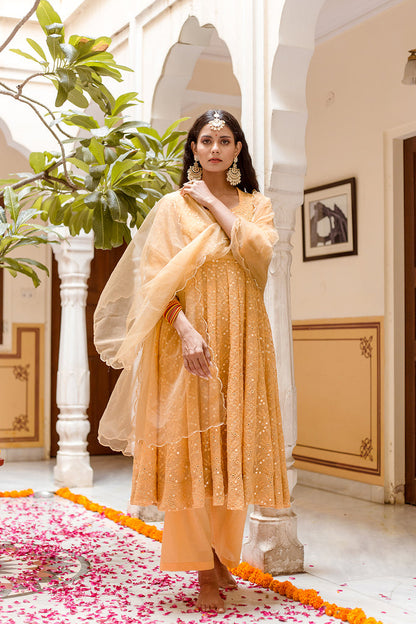 Damini Yellow Anarkali Set