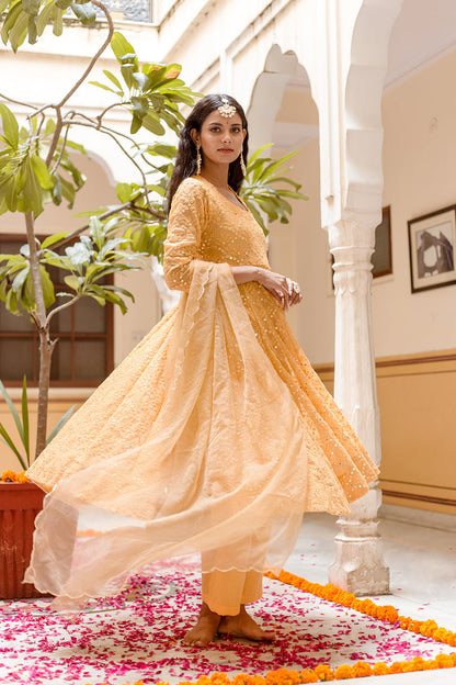 Damini Yellow Anarkali Set