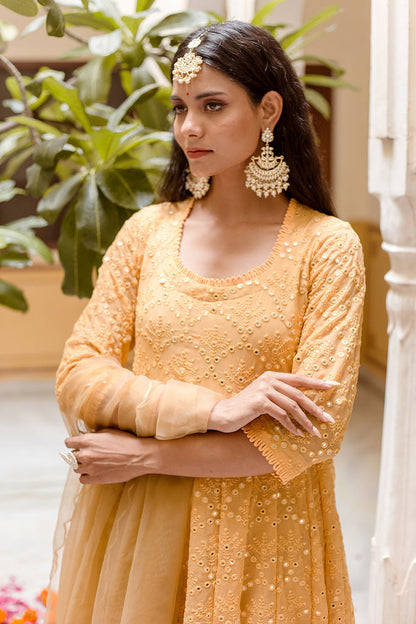 Damini Yellow Anarkali Set