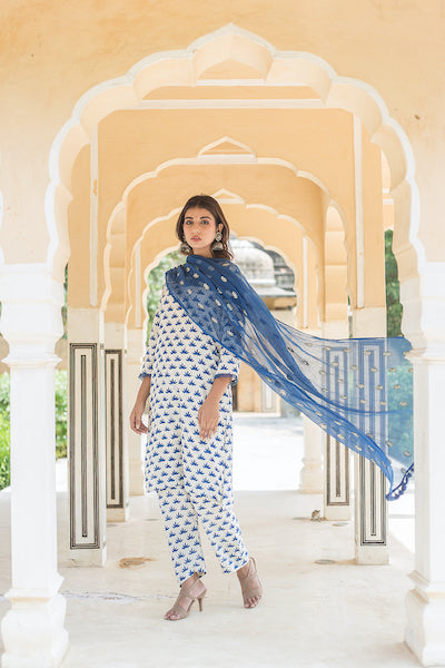 Padmini Blue Straight Set