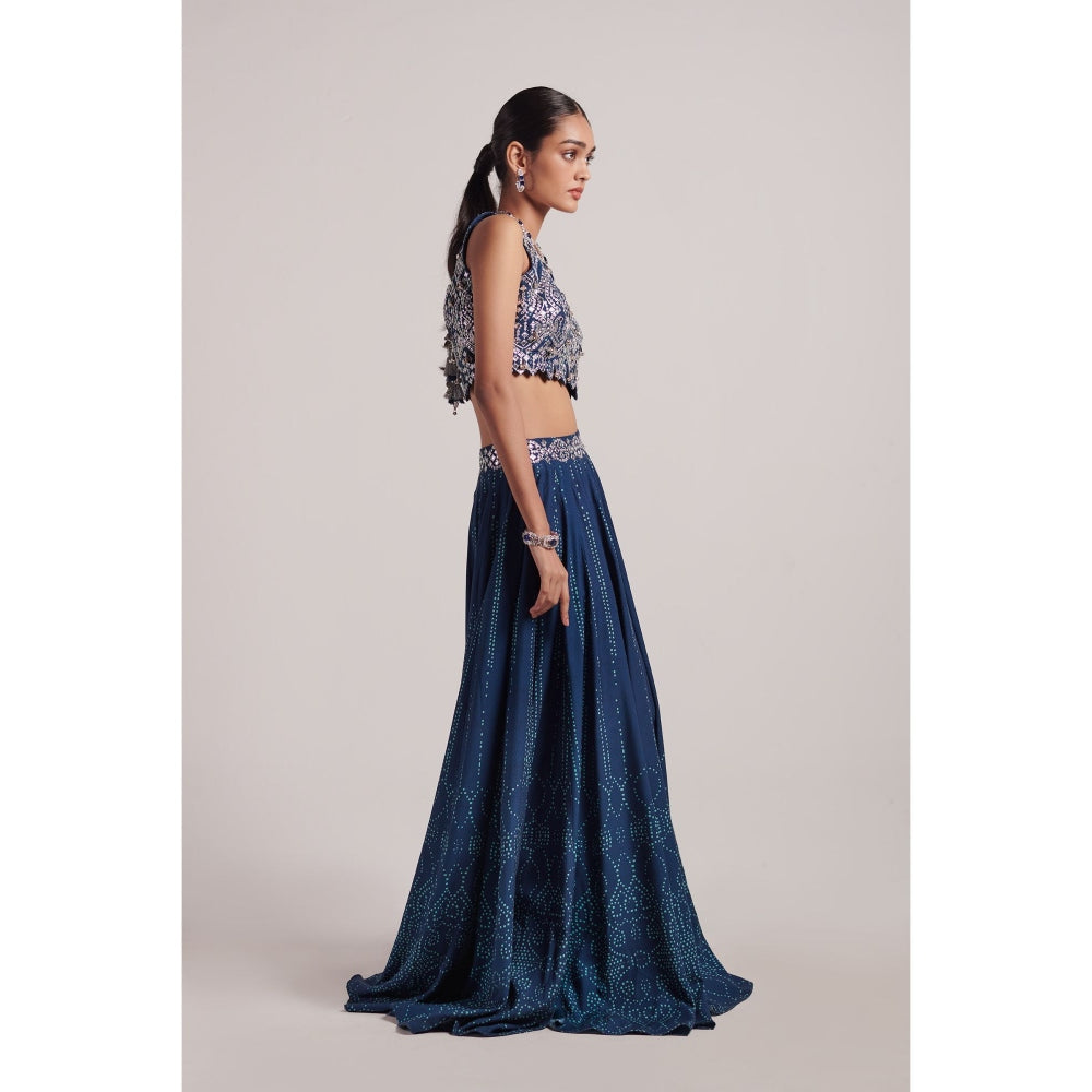 Inej Navy Blue Lehenga (Set of 2)