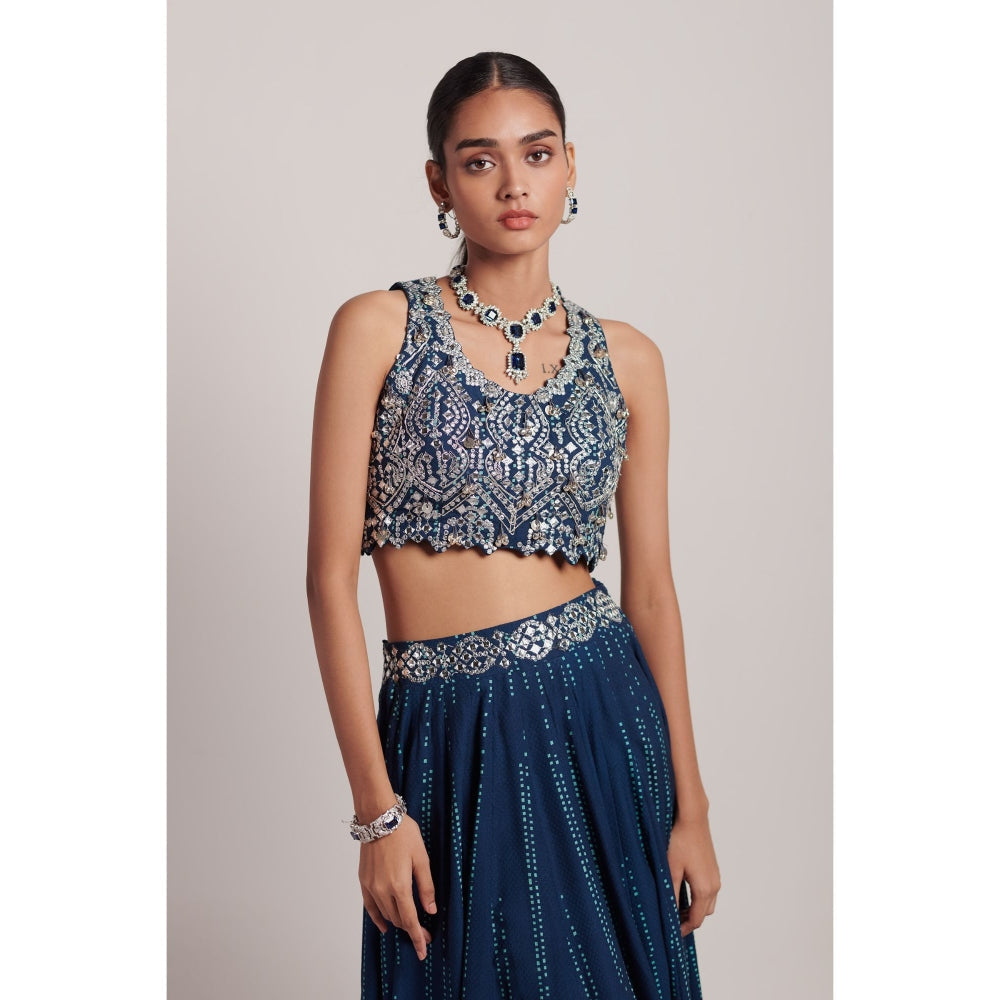 Inej Navy Blue Lehenga (Set of 2)