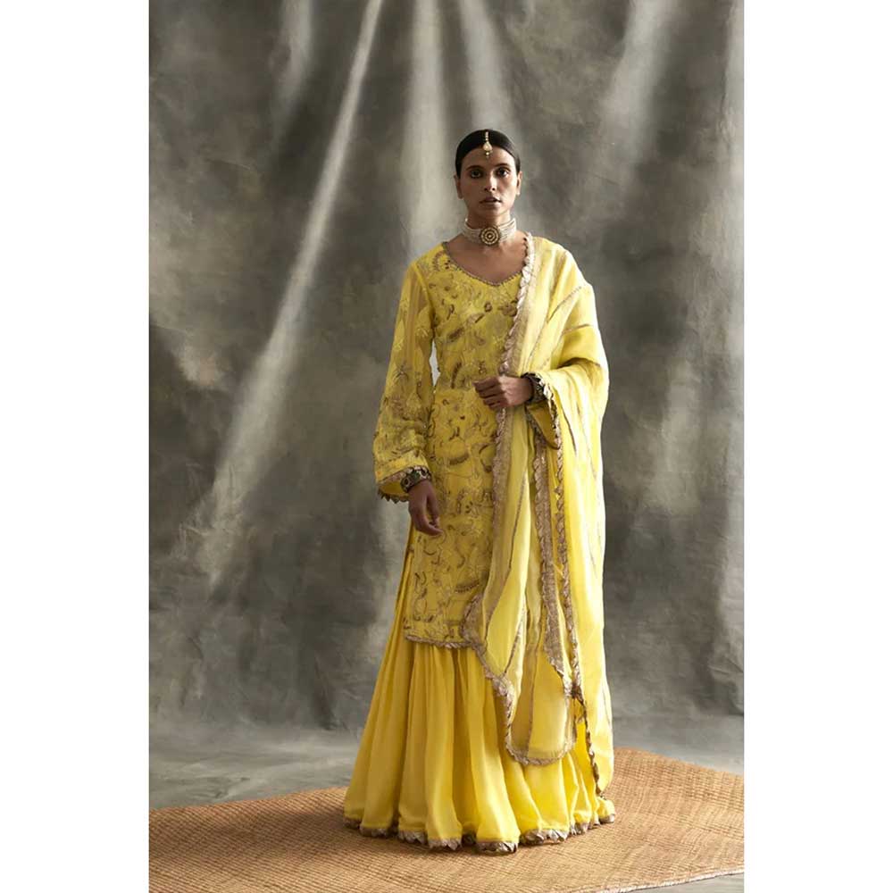 ITRH Straight Suit & Sharara (Set of 3)