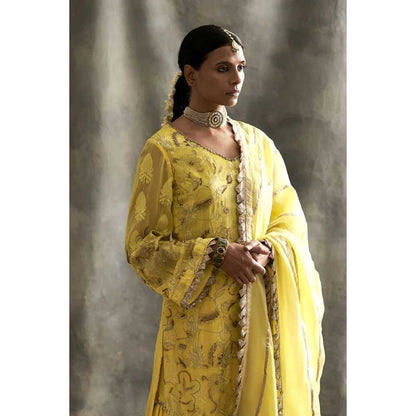 ITRH Straight Suit & Sharara (Set of 3)