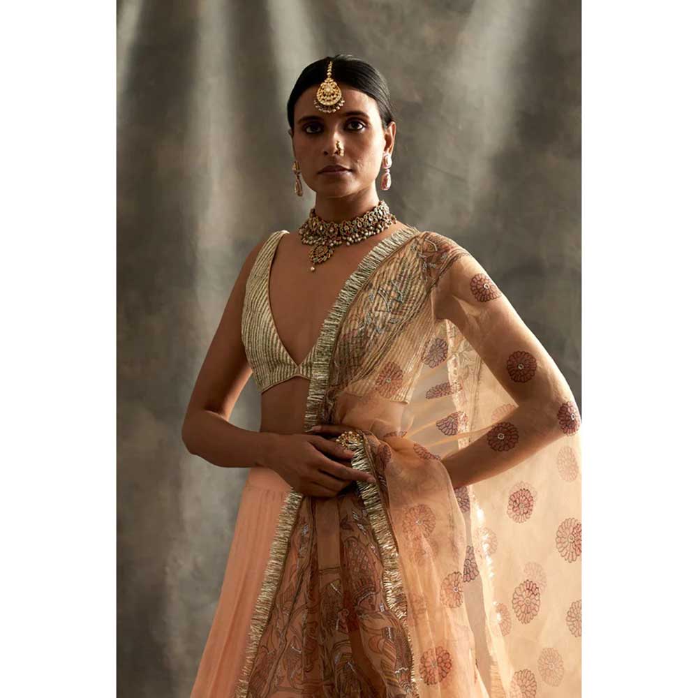 ITRH Dastoor Peach Lehenga (Set of 3)