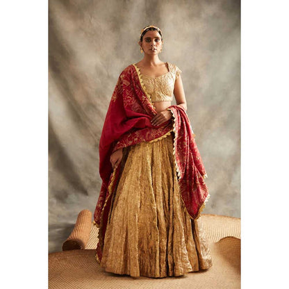 ITRH Sona Lehenga (Set of 3)