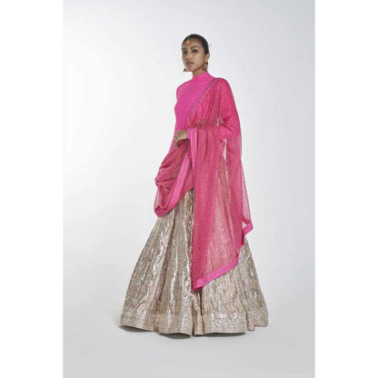 ITRH Hot Pink Fusion Lehenga with Dupatta (Set of 3)