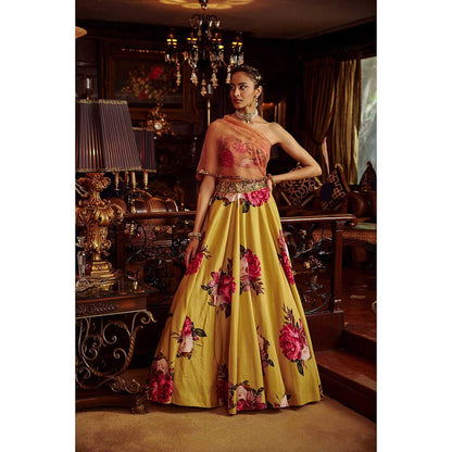 KALISTA Erum Lehenga Set (Set of 2)