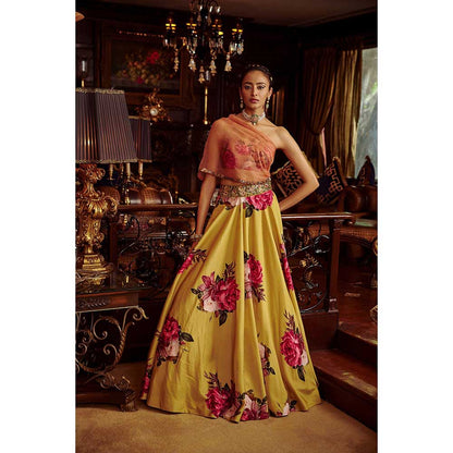 KALISTA Erum Lehenga Set (Set of 2)