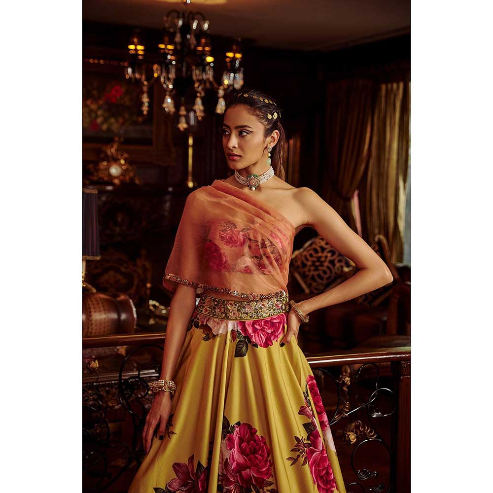 KALISTA Erum Lehenga Set (Set of 2)