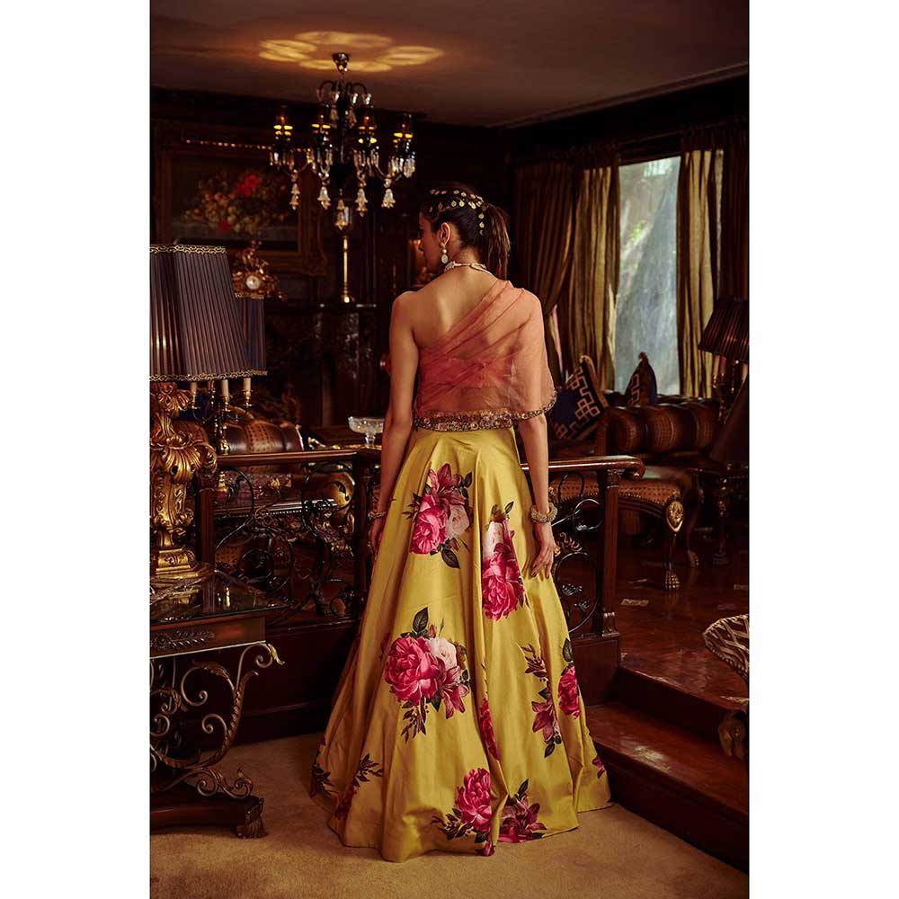 KALISTA Erum Lehenga Set (Set of 2)