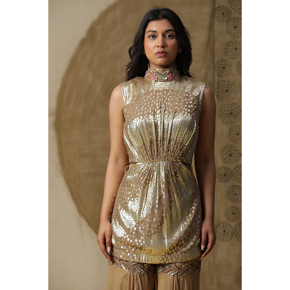 Arpita Sulakshana Dusty Brown Kurta Sharara with Cape (Set of 3)