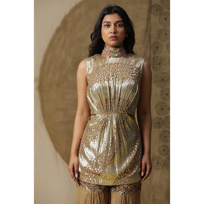 Arpita Sulakshana Dusty Brown Kurta Sharara with Cape (Set of 3)