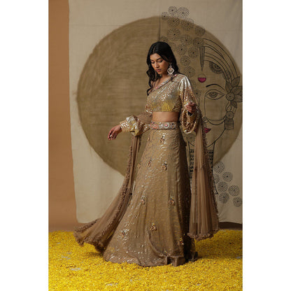 Arpita Sulakshana Brown One Shoulder Blouse Lehenga with Dupatta (Set of 3)