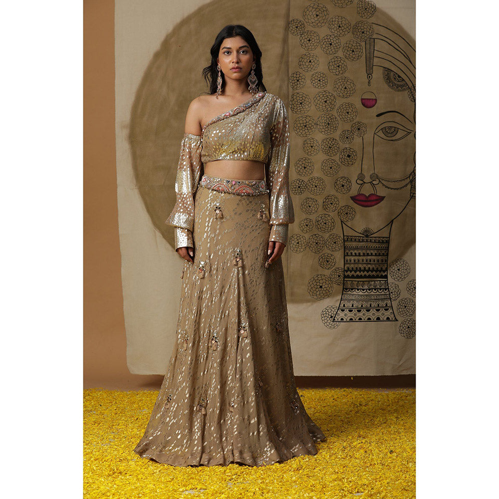 Arpita Sulakshana Brown One Shoulder Blouse Lehenga with Dupatta (Set of 3)