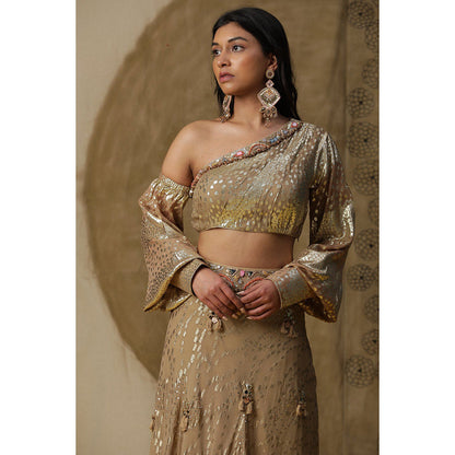 Arpita Sulakshana Brown One Shoulder Blouse Lehenga with Dupatta (Set of 3)