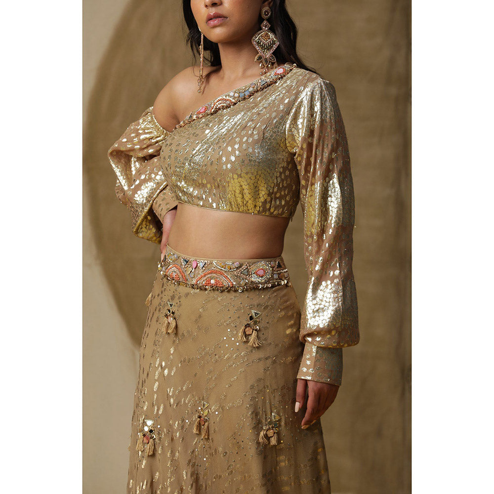 Arpita Sulakshana Brown One Shoulder Blouse Lehenga with Dupatta (Set of 3)