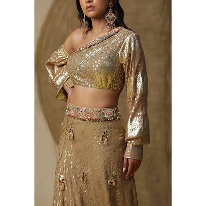 Arpita Sulakshana Brown One Shoulder Blouse Lehenga with Dupatta (Set of 3)