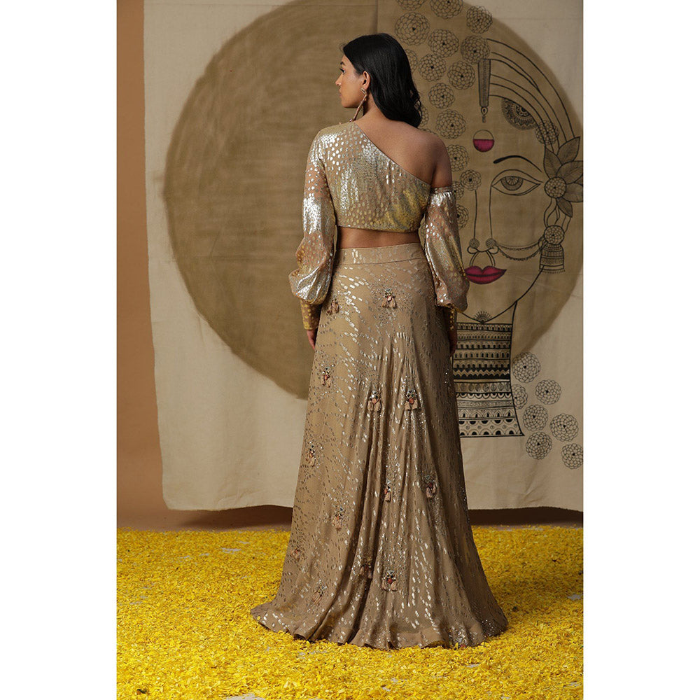 Arpita Sulakshana Brown One Shoulder Blouse Lehenga with Dupatta (Set of 3)