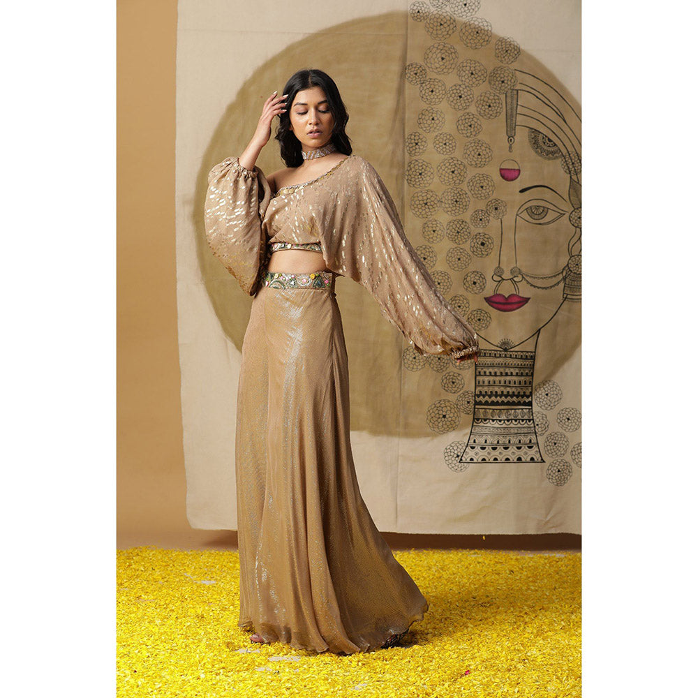 Arpita Sulakshana Brown One Shoulder Blouse with Palazzo (Set of 2)