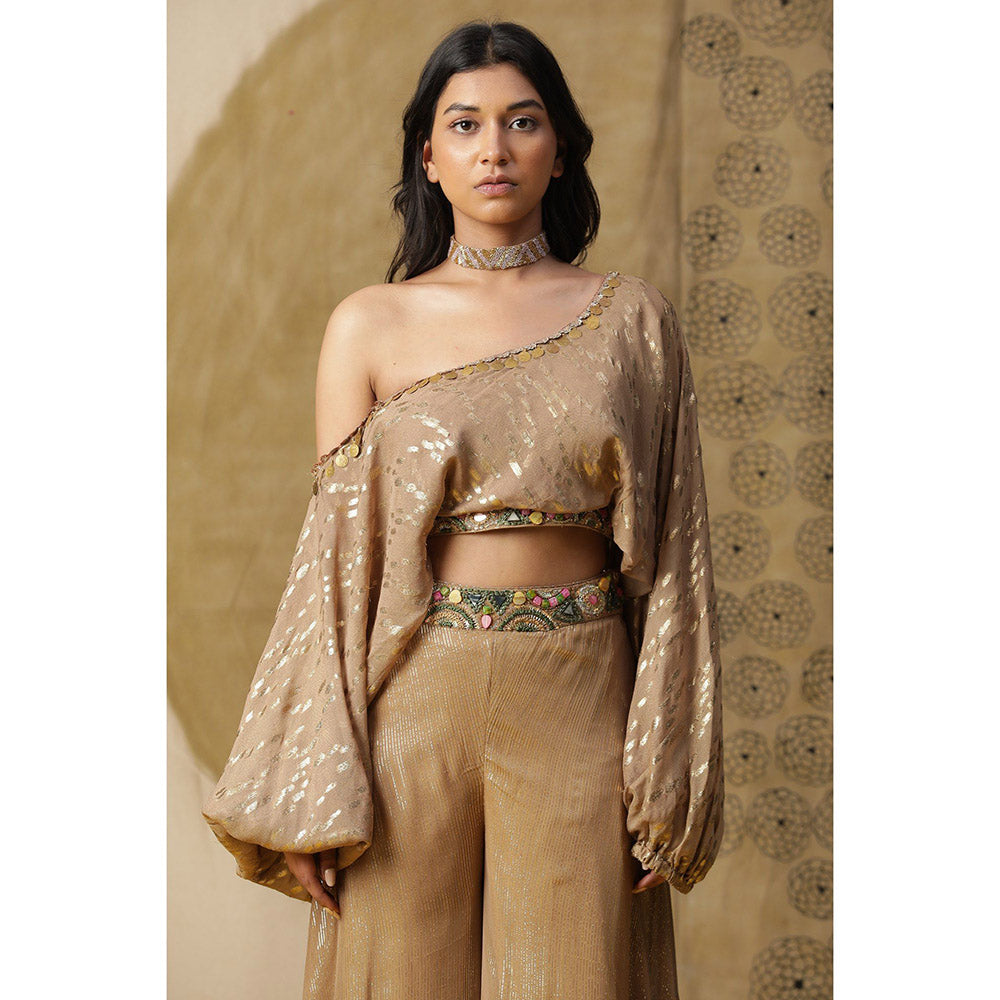 Arpita Sulakshana Brown One Shoulder Blouse with Palazzo (Set of 2)