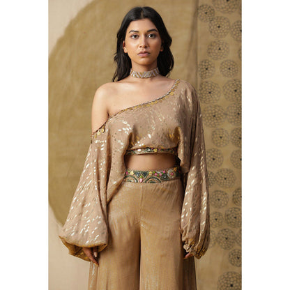 Arpita Sulakshana Brown One Shoulder Blouse with Palazzo (Set of 2)