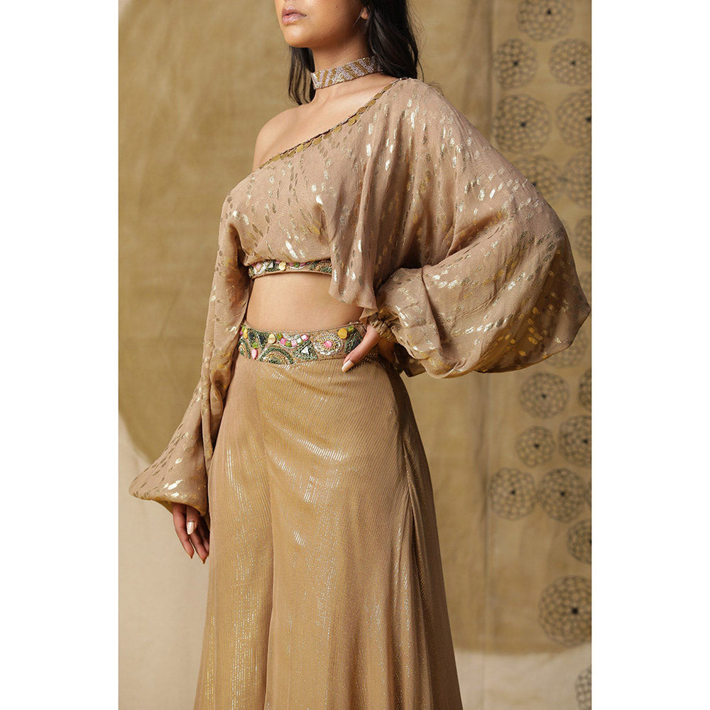 Arpita Sulakshana Brown One Shoulder Blouse with Palazzo (Set of 2)