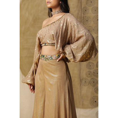 Arpita Sulakshana Brown One Shoulder Blouse with Palazzo (Set of 2)