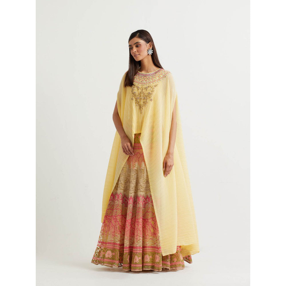 KAVITA BHARTIA Embroidered Cape with Skirt in Yellow (Set of 2)