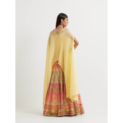 KAVITA BHARTIA Embroidered Cape with Skirt in Yellow (Set of 2)